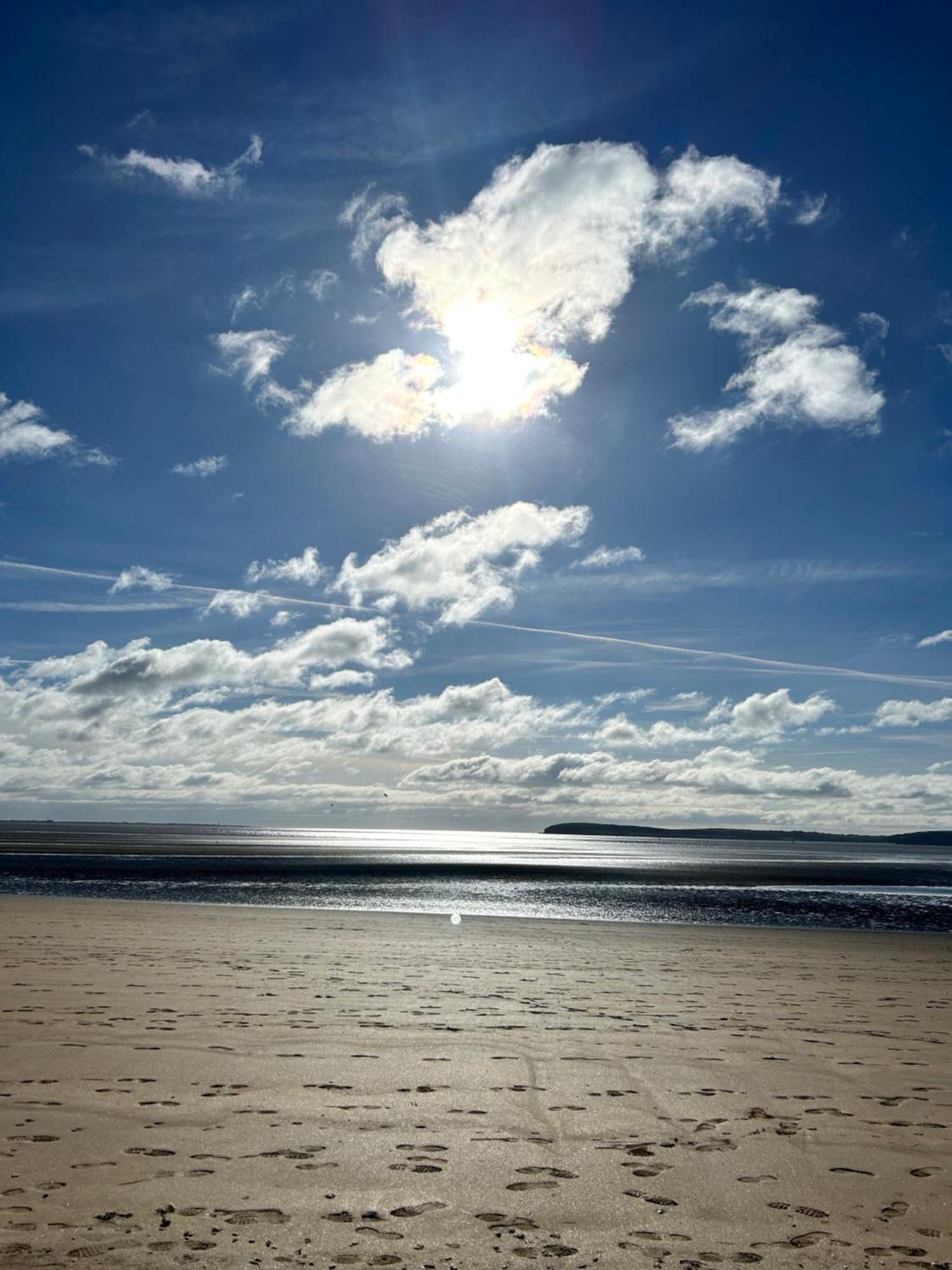 Tobernaglough Wexford Pet Friendly Country B&B Ramsgrange Экстерьер фото