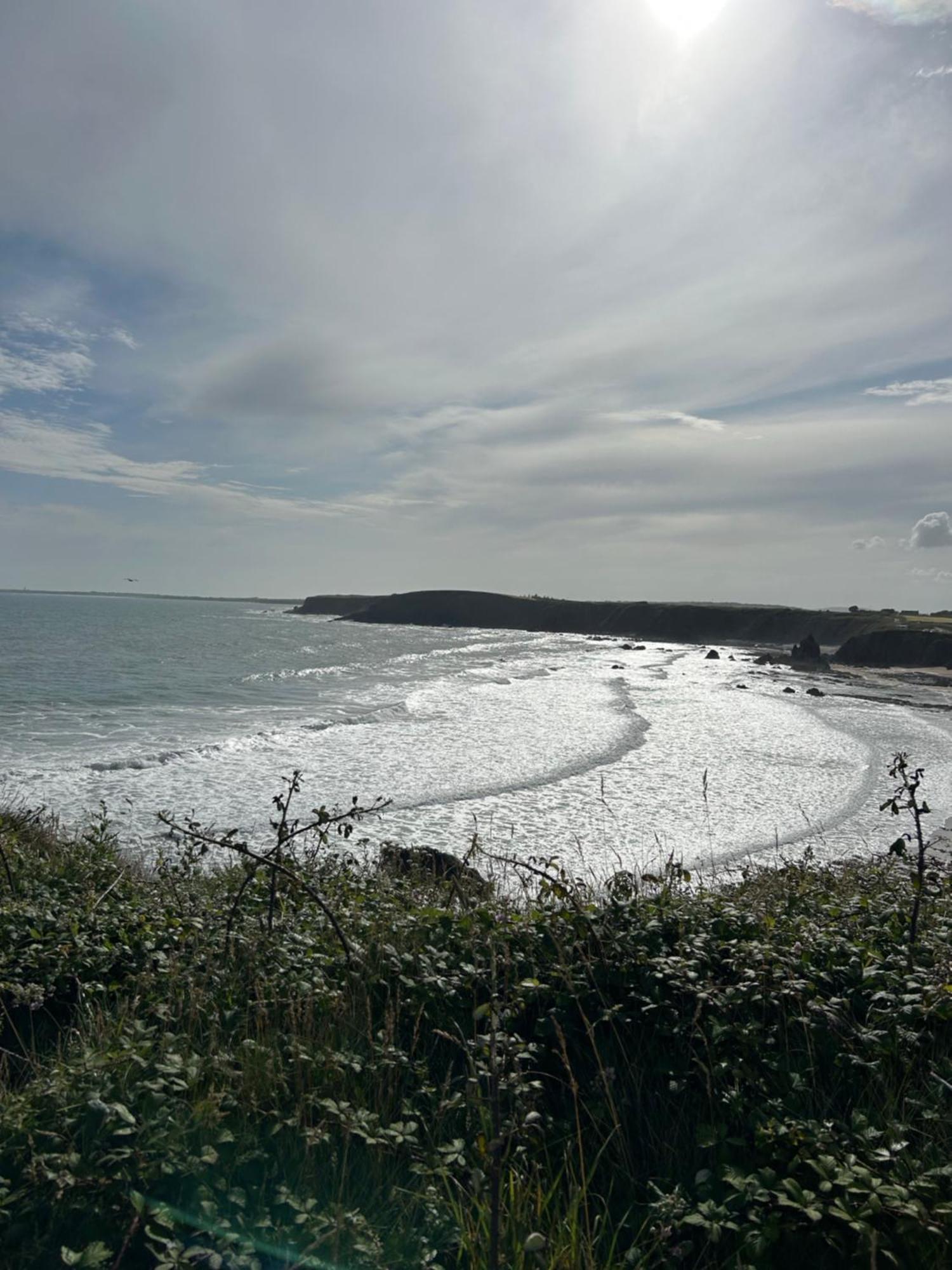 Tobernaglough Wexford Pet Friendly Country B&B Ramsgrange Экстерьер фото