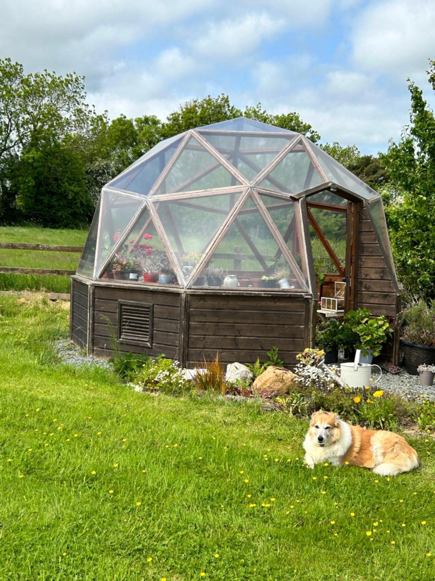 Tobernaglough Wexford Pet Friendly Country B&B Ramsgrange Экстерьер фото