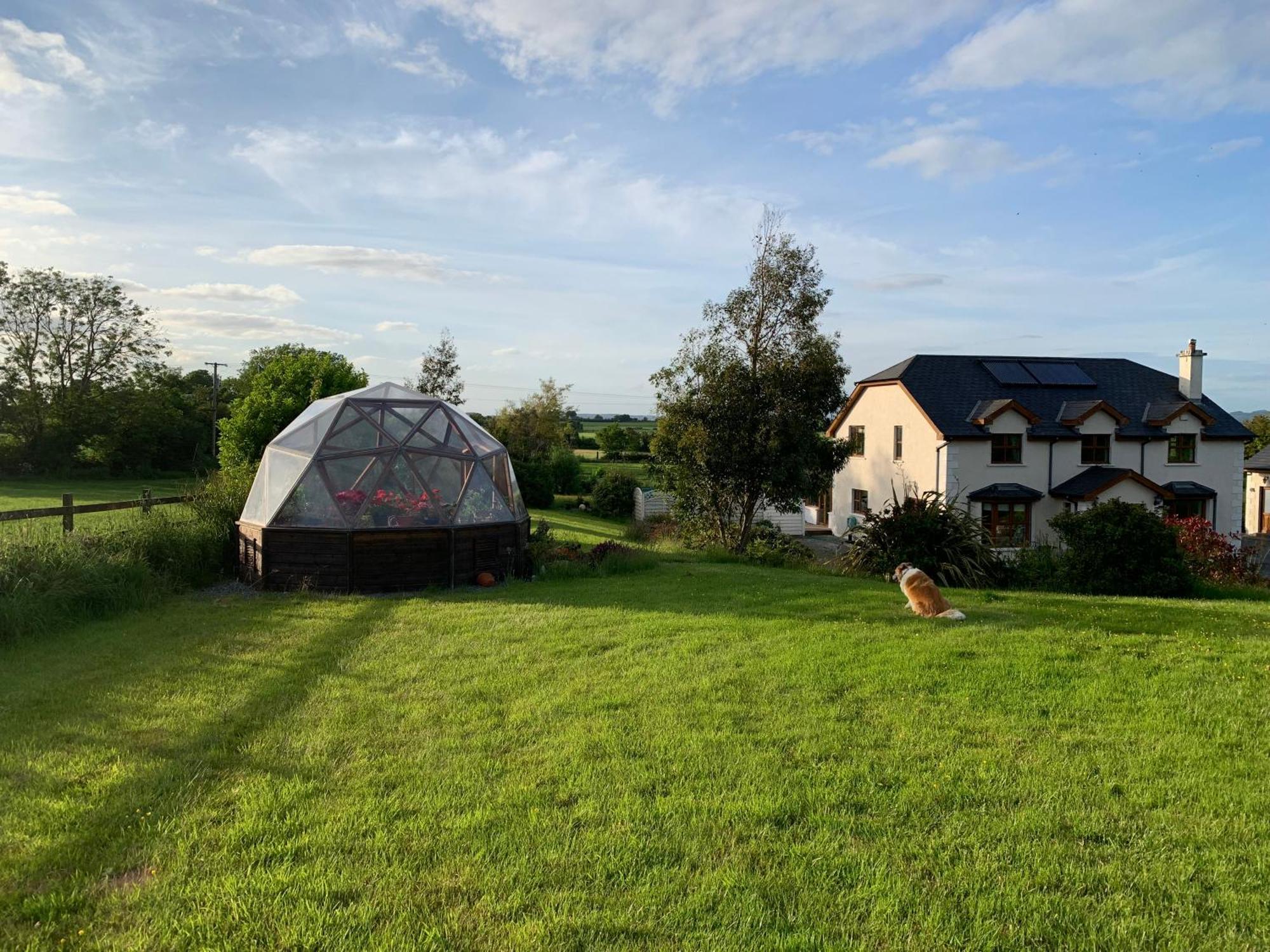 Tobernaglough Wexford Pet Friendly Country B&B Ramsgrange Экстерьер фото