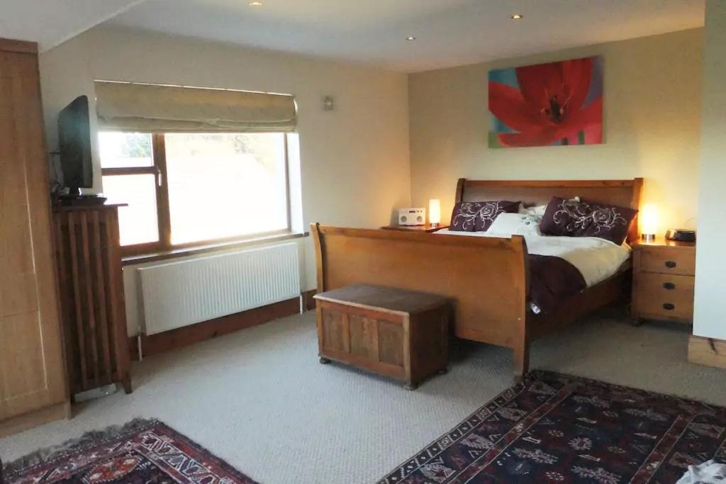 Tobernaglough Wexford Pet Friendly Country B&B Ramsgrange Экстерьер фото