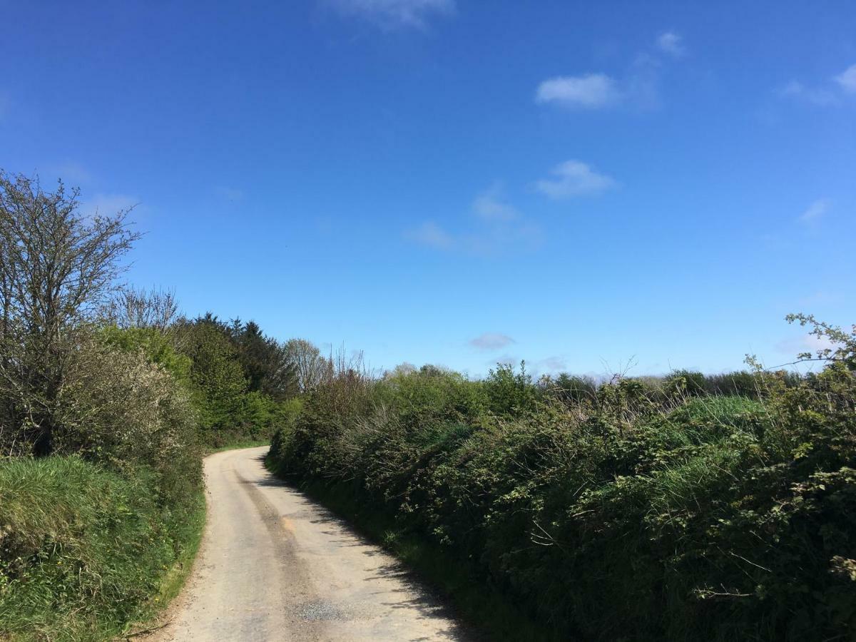 Tobernaglough Wexford Pet Friendly Country B&B Ramsgrange Экстерьер фото
