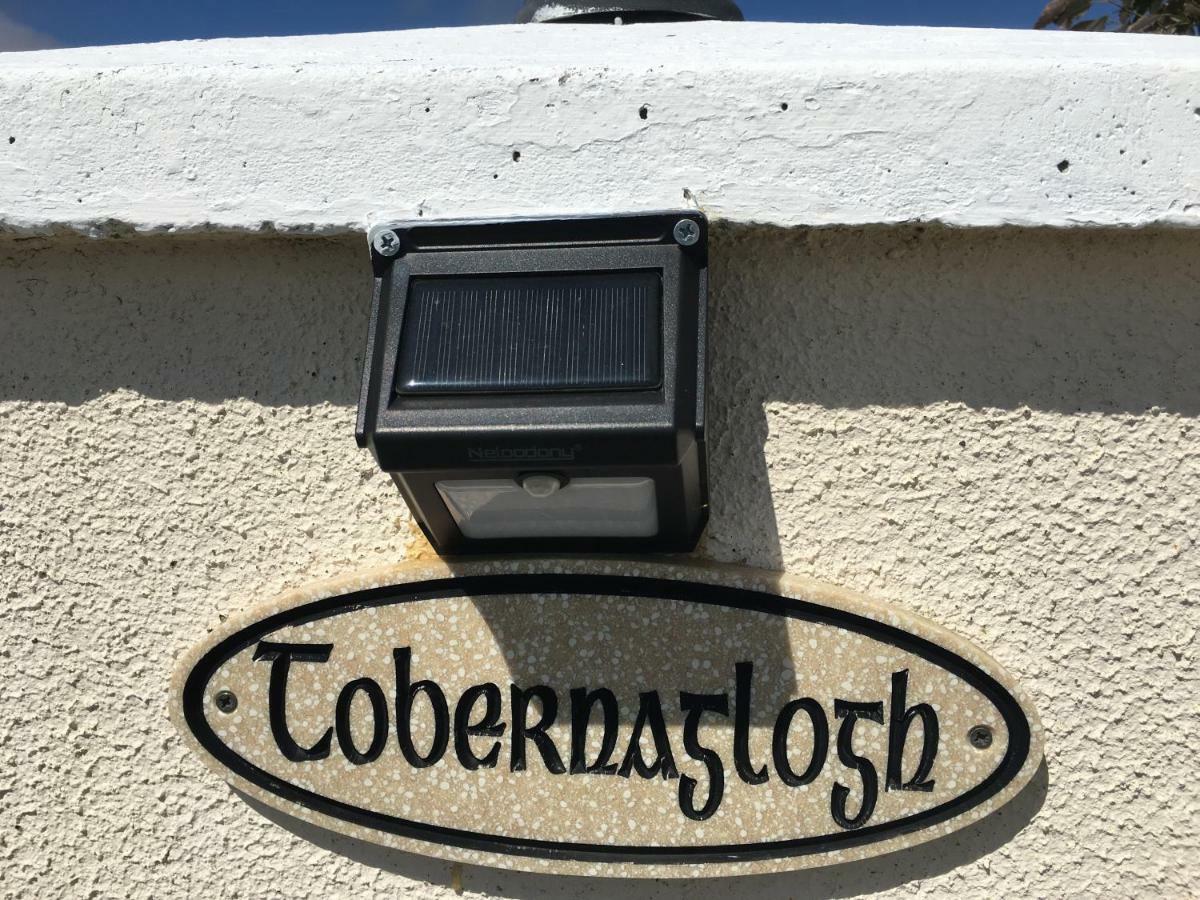 Tobernaglough Wexford Pet Friendly Country B&B Ramsgrange Экстерьер фото