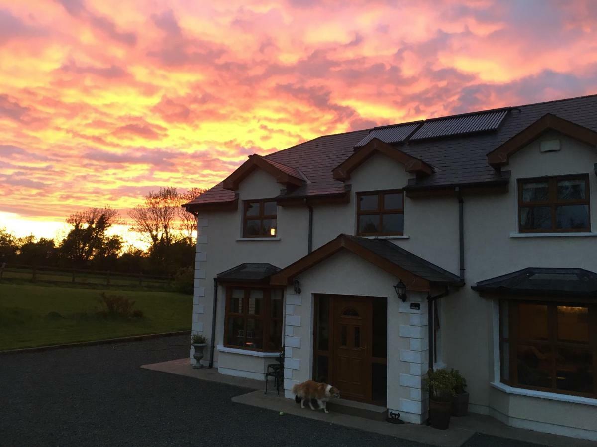 Tobernaglough Wexford Pet Friendly Country B&B Ramsgrange Экстерьер фото