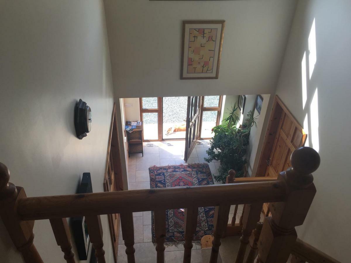 Tobernaglough Wexford Pet Friendly Country B&B Ramsgrange Экстерьер фото