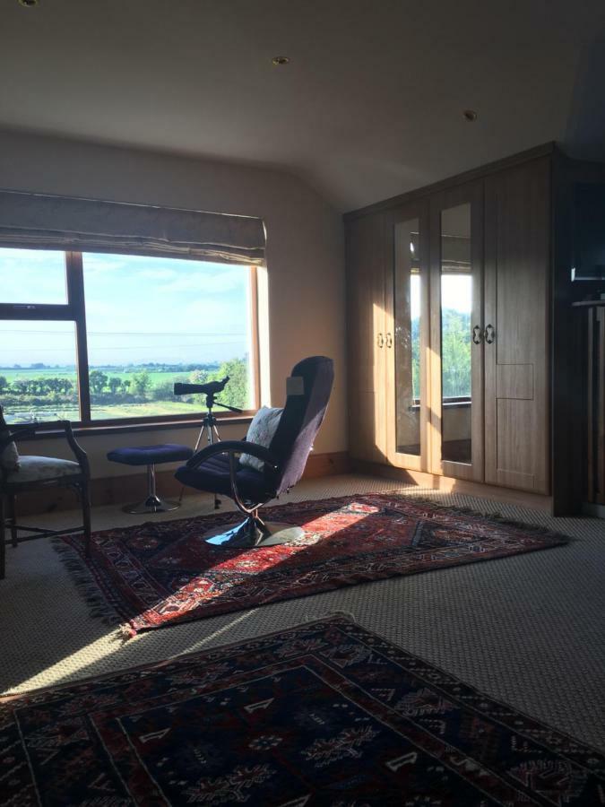 Tobernaglough Wexford Pet Friendly Country B&B Ramsgrange Экстерьер фото