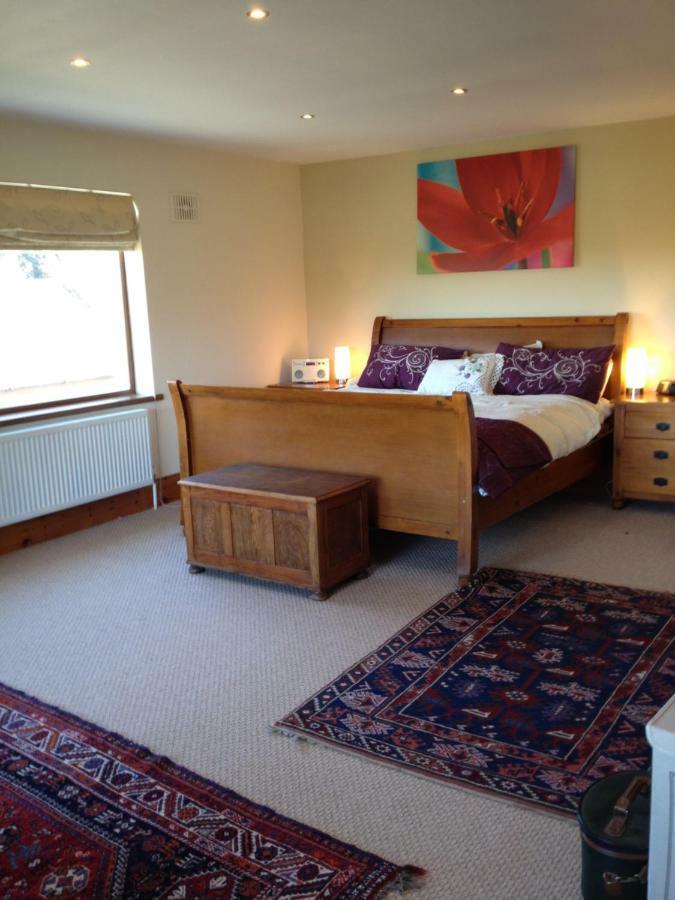 Tobernaglough Wexford Pet Friendly Country B&B Ramsgrange Экстерьер фото