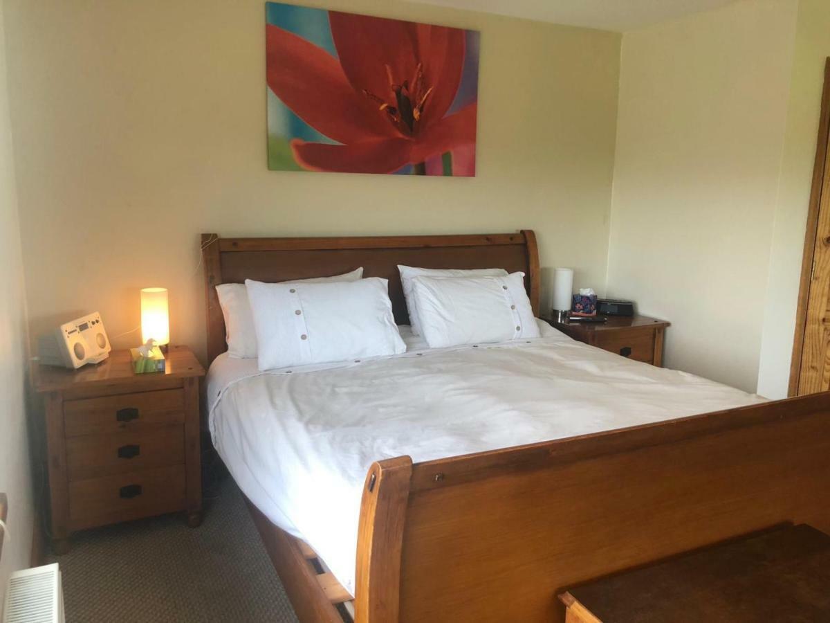 Tobernaglough Wexford Pet Friendly Country B&B Ramsgrange Экстерьер фото
