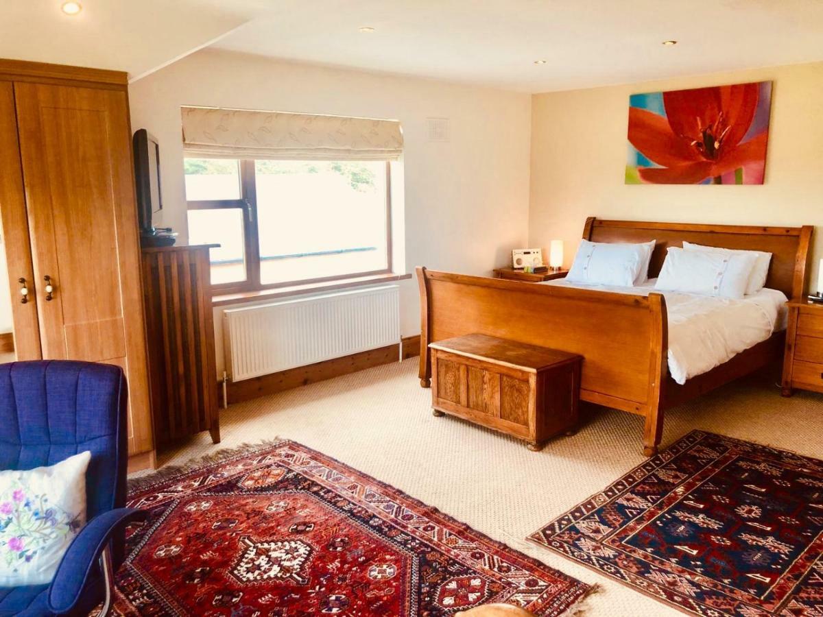 Tobernaglough Wexford Pet Friendly Country B&B Ramsgrange Экстерьер фото