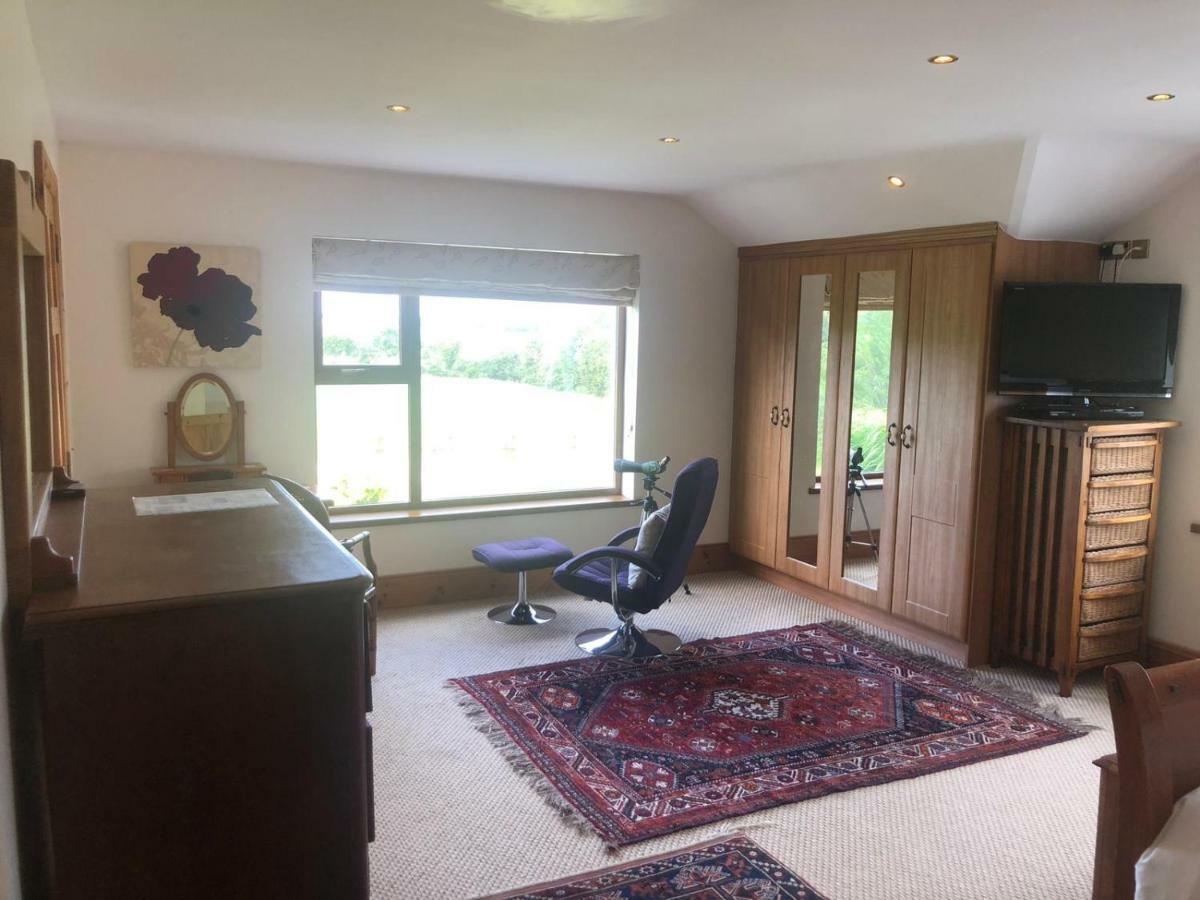 Tobernaglough Wexford Pet Friendly Country B&B Ramsgrange Экстерьер фото