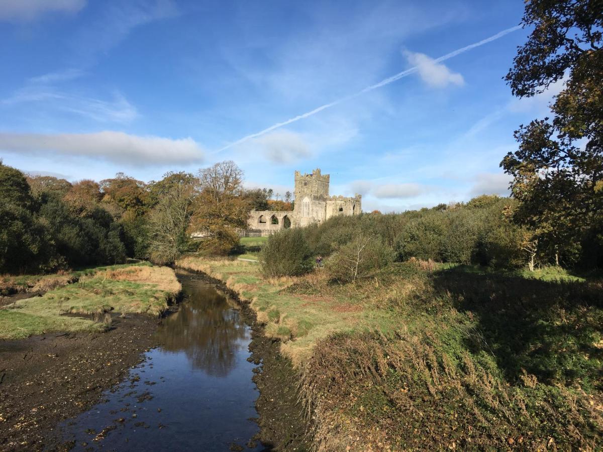 Tobernaglough Wexford Pet Friendly Country B&B Ramsgrange Экстерьер фото